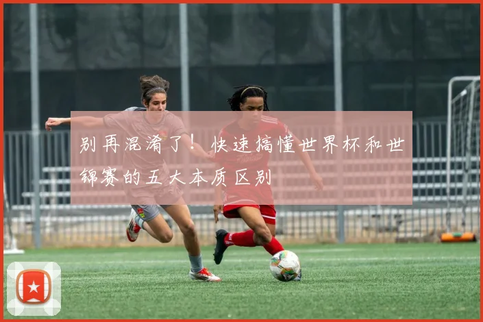 别再混淆了!快速搞懂世界杯和世锦赛的五大本质区别