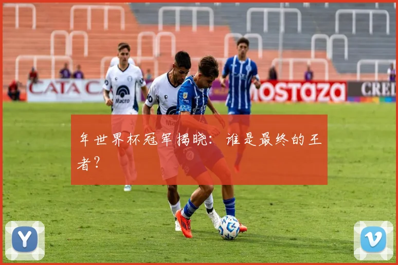 年世界杯冠军揭晓：谁是最终的王者？